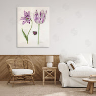 Jacob Marrel | Two Tulips Purple Flowers