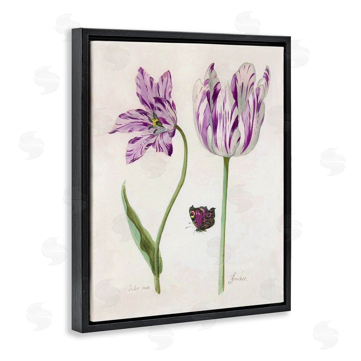 Jacob Marell Two Tulips Purple Flowers Canvas Wall Art Print