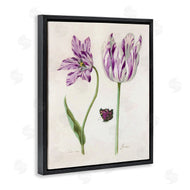 Jacob Marrel | Two Tulips Purple Flowers