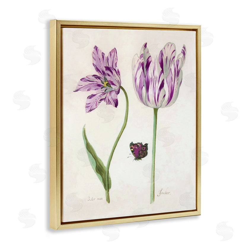 Jacob Marrel | Two Tulips Purple Flowers