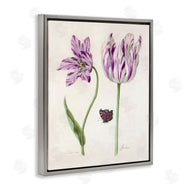 Jacob Marrel | Two Tulips Purple Flowers