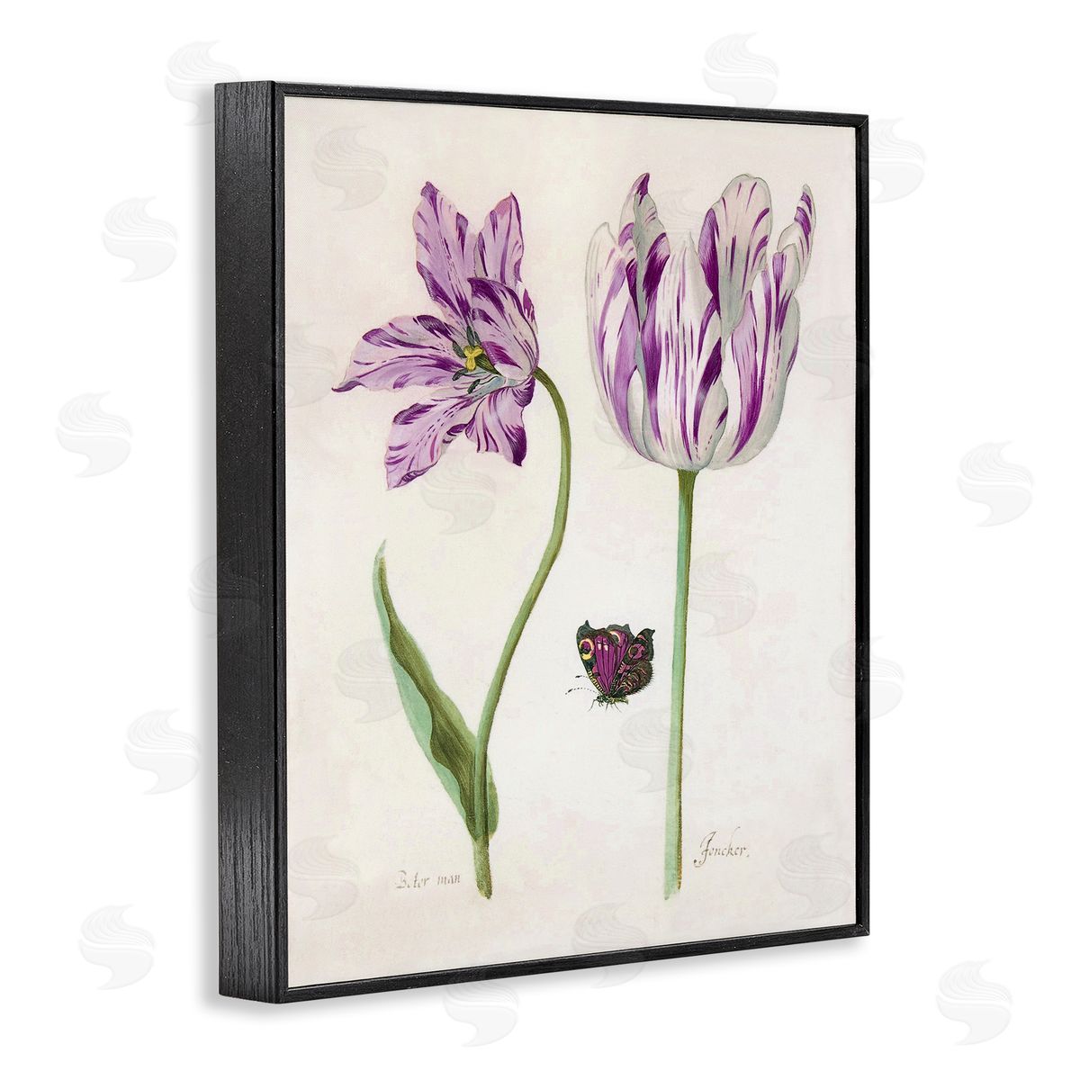 Jacob Marell Two Tulips Purple Flowers Canvas Wall Art Print