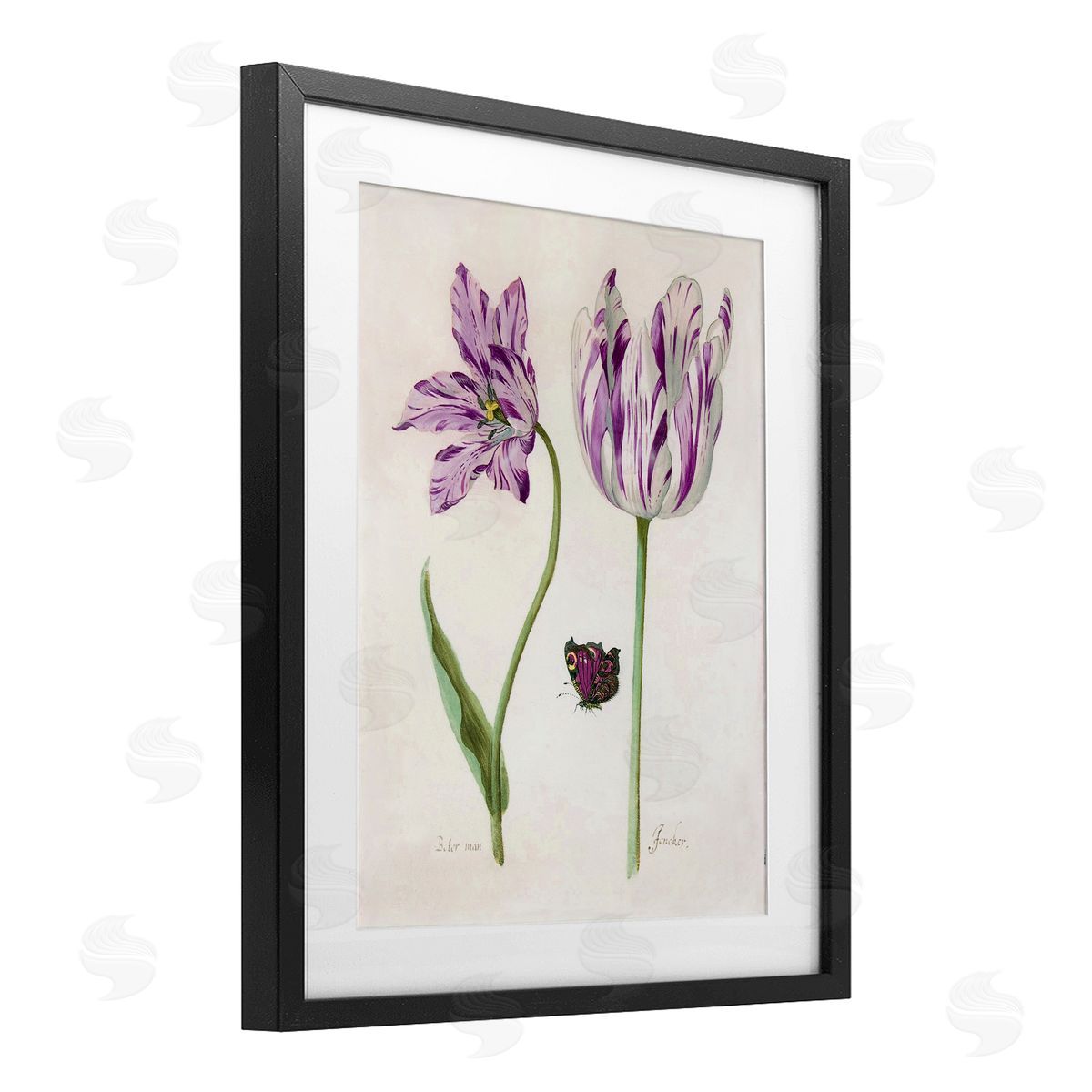 Jacob Marell Two Tulips Purple Flowers Canvas Wall Art Print