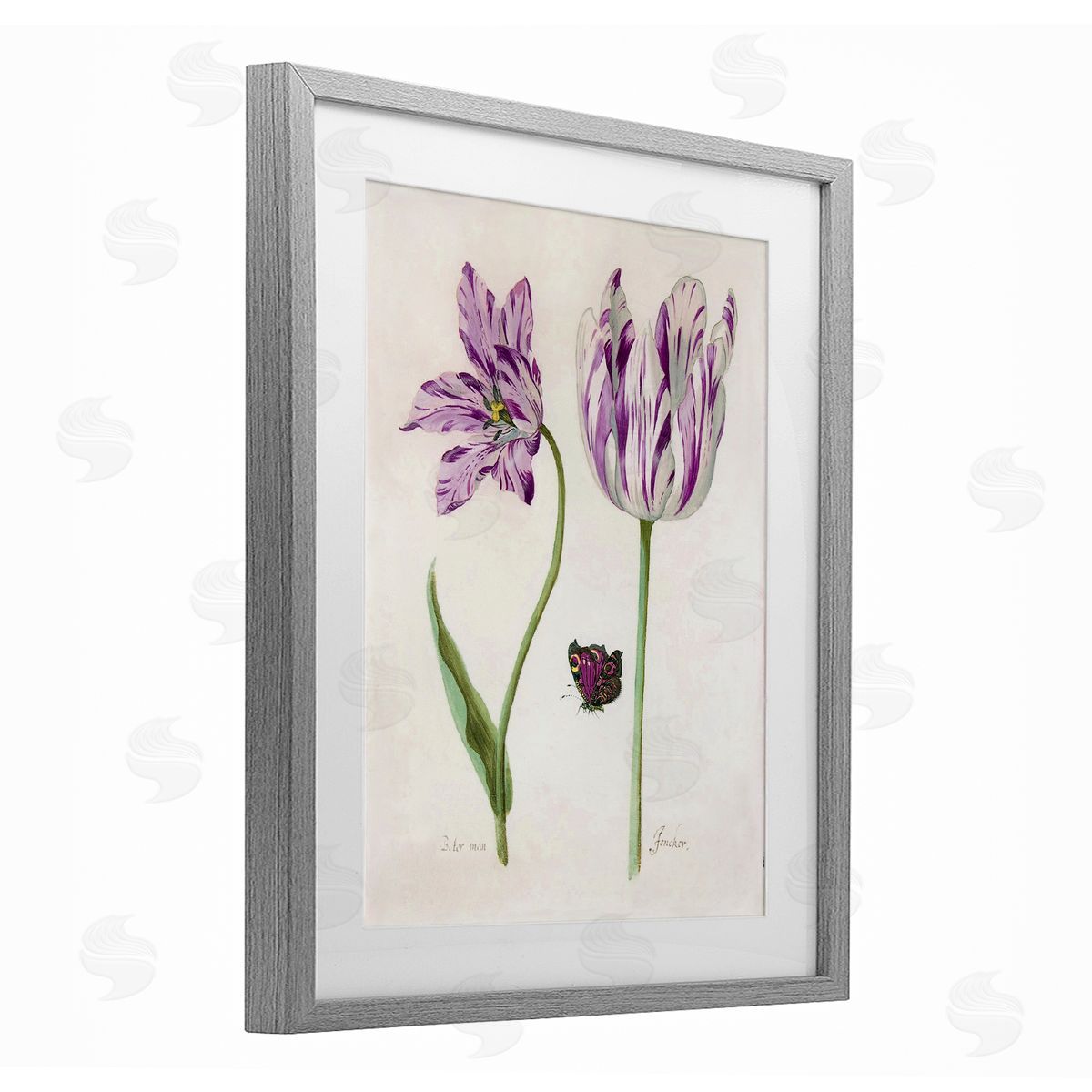 Jacob Marell Two Tulips Purple Flowers Canvas Wall Art Print