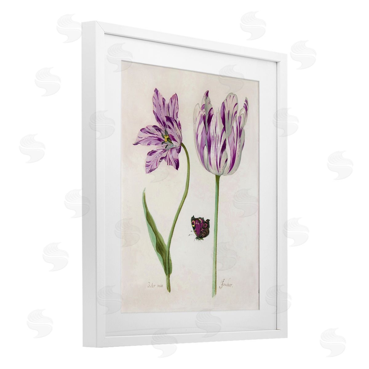 Jacob Marell Two Tulips Purple Flowers Canvas Wall Art Print