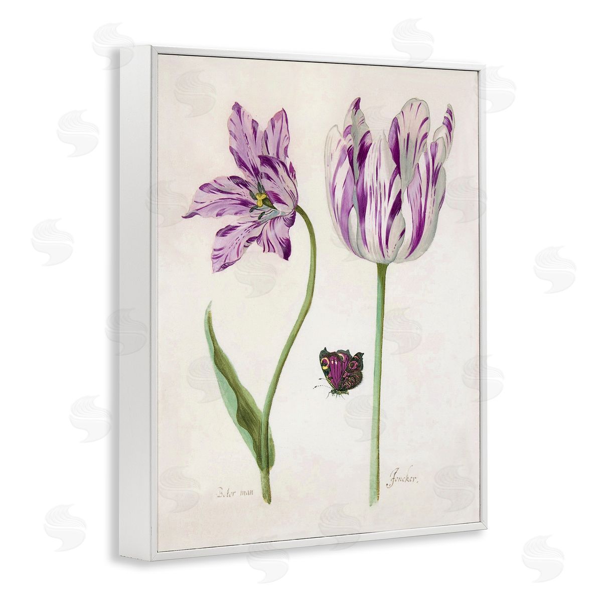 Jacob Marell Two Tulips Purple Flowers Canvas Wall Art Print