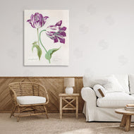 Jacob Marrel | Two Tulips Purple Florals