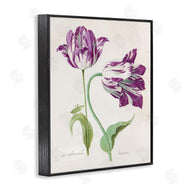 Jacob Marrel | Two Tulips Purple Florals