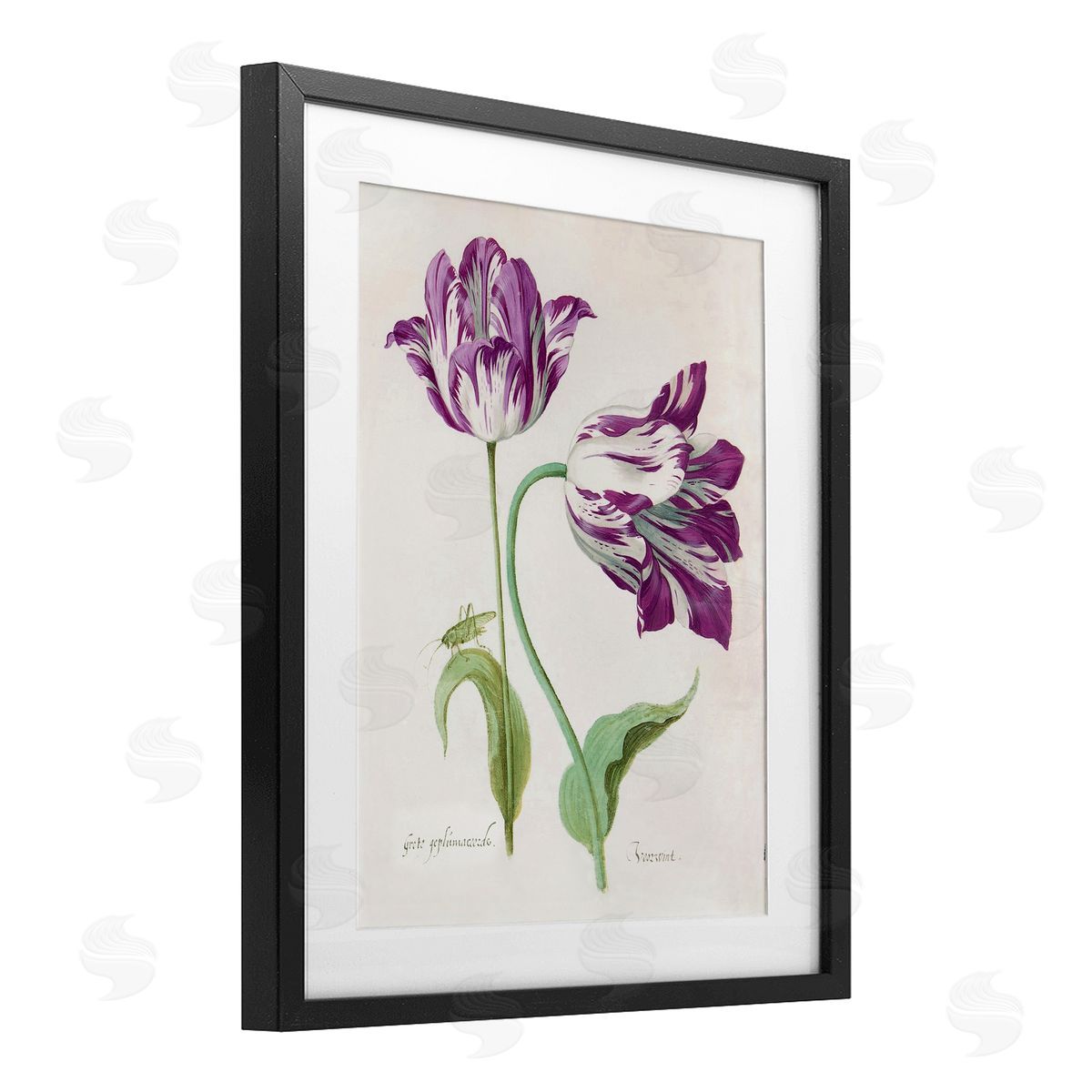 Jacob Marell Two Tulips Purple Florals Canvas Wall Art Print