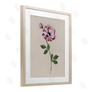 Sally Swatland | Jewel Rose Sprig