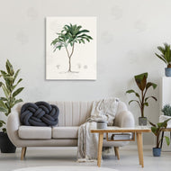 CAD Designs | Vintage Palm Study