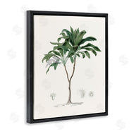 CAD Designs | Vintage Palm Study