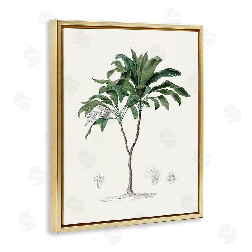 CAD Designs | Vintage Palm Study