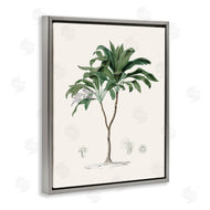 CAD Designs | Vintage Palm Study