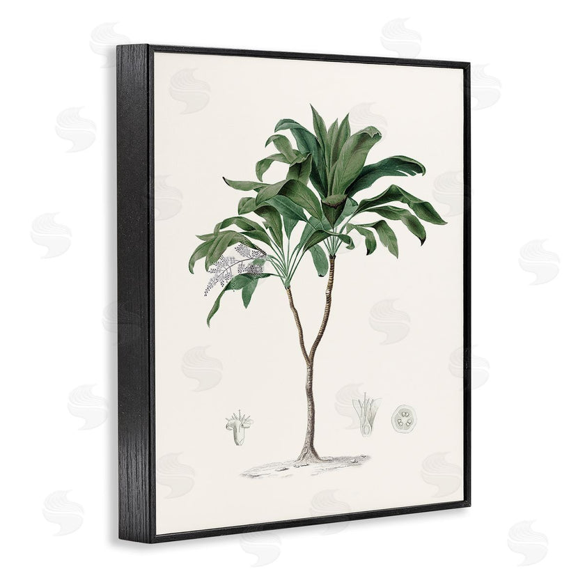 CAD Designs | Vintage Palm Study