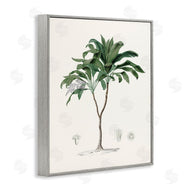 CAD Designs | Vintage Palm Study