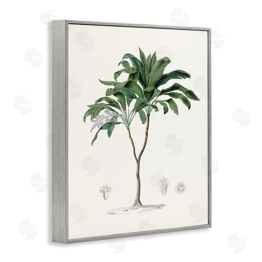 CAD Designs | Vintage Palm Study