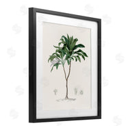 CAD Designs | Vintage Palm Study