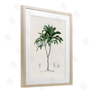 CAD Designs | Vintage Palm Study