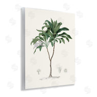 CAD Designs | Vintage Palm Study