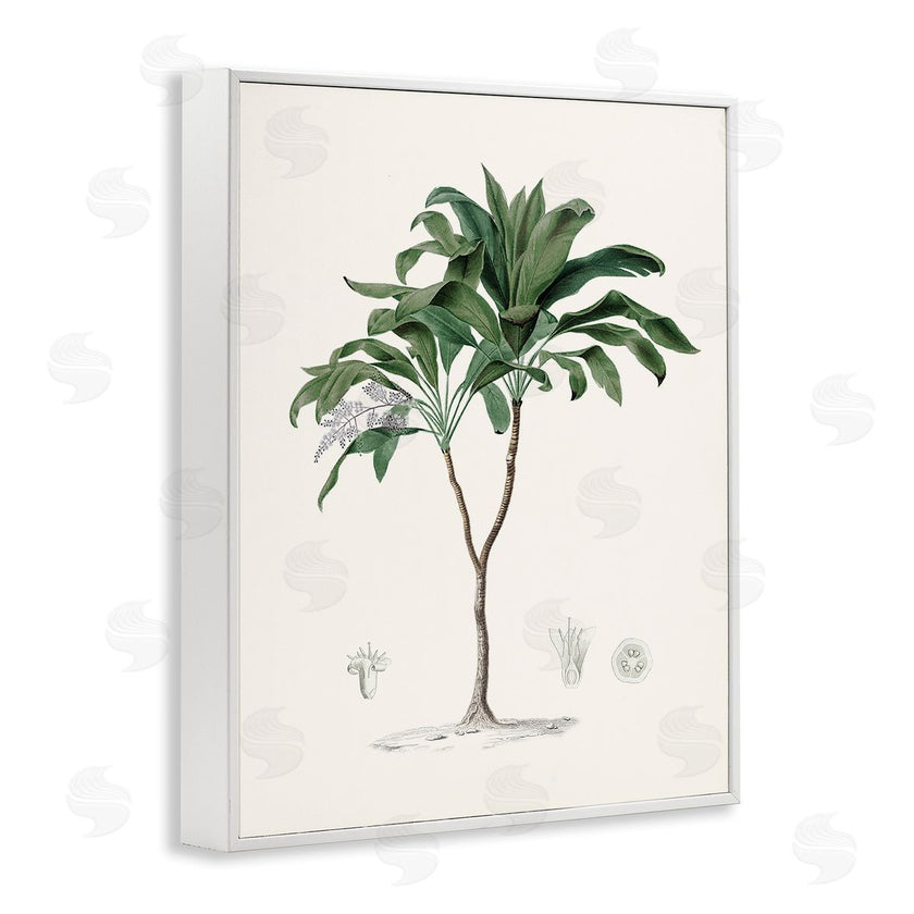 CAD Designs | Vintage Palm Study
