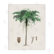 CAD Designs | Vintage Palm Tree Study
