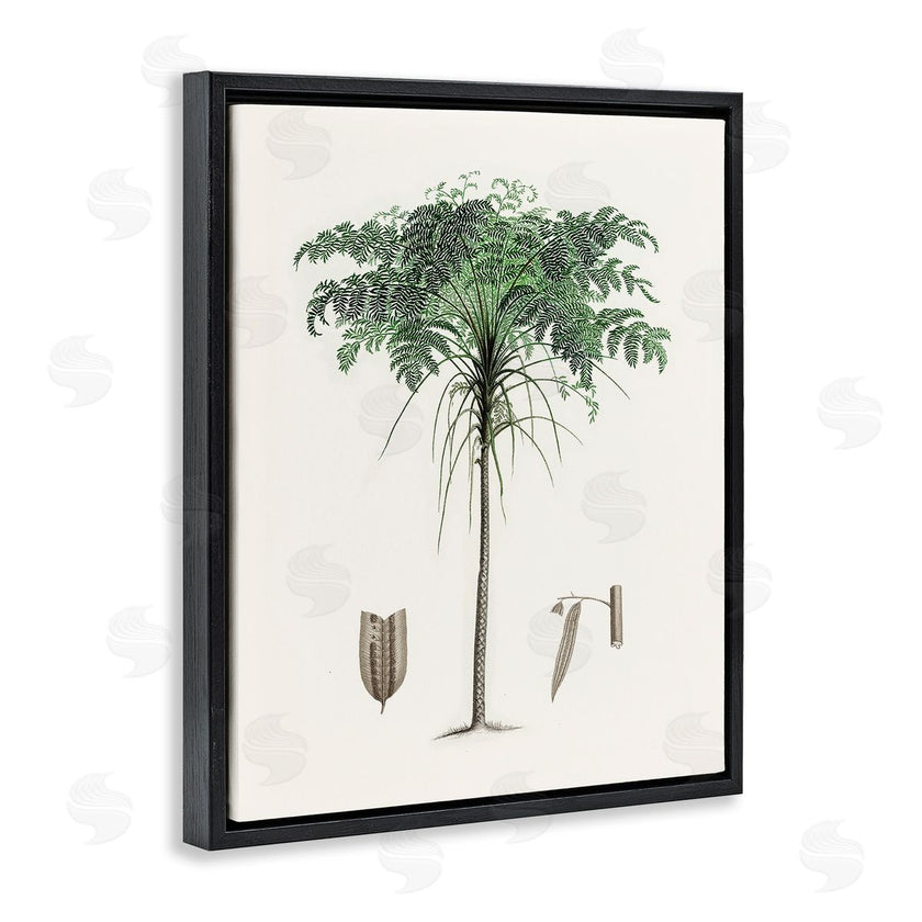 CAD Designs | Vintage Palm Tree Study