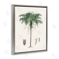CAD Designs | Vintage Palm Tree Study