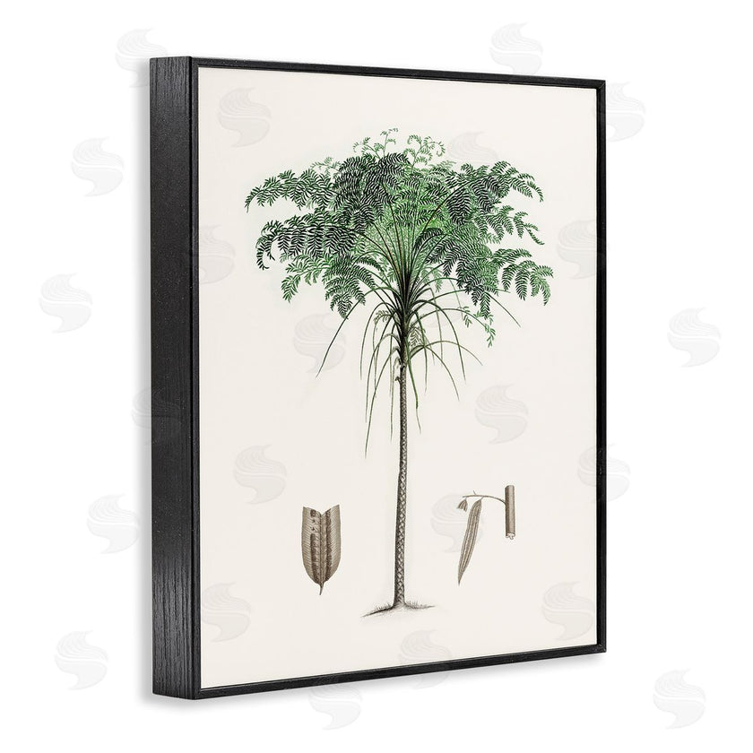 CAD Designs | Vintage Palm Tree Study