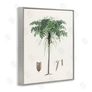 CAD Designs | Vintage Palm Tree Study