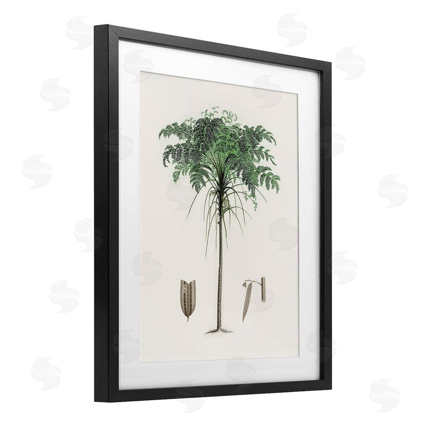 CAD Designs | Vintage Palm Tree Study