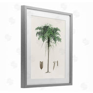 CAD Designs | Vintage Palm Tree Study