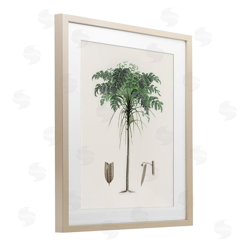 CAD Designs | Vintage Palm Tree Study