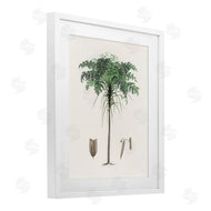 CAD Designs | Vintage Palm Tree Study