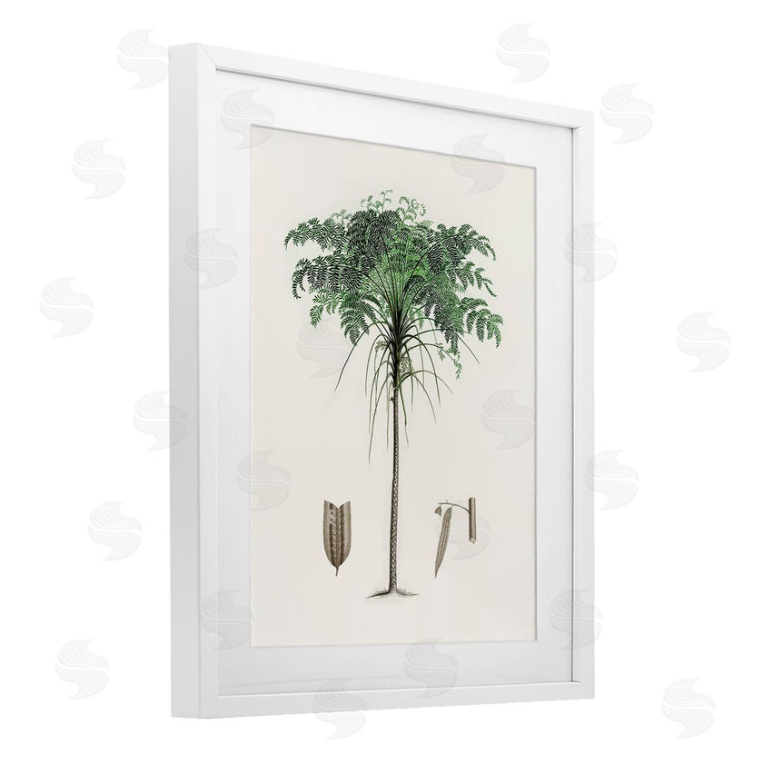 CAD Designs | Vintage Palm Tree Study