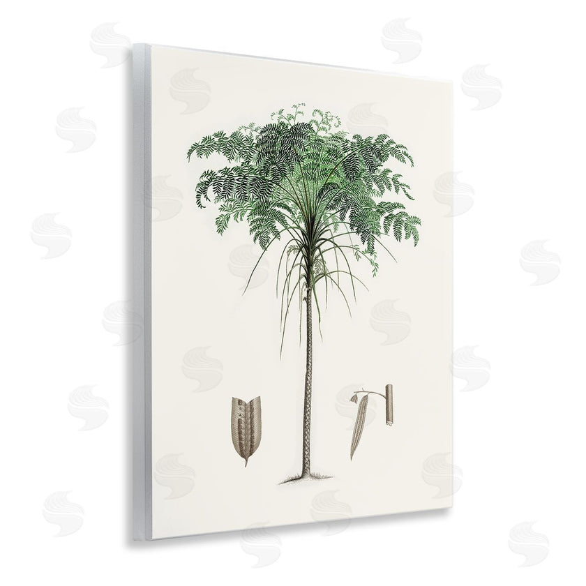 CAD Designs | Vintage Palm Tree Study