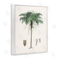 CAD Designs | Vintage Palm Tree Study