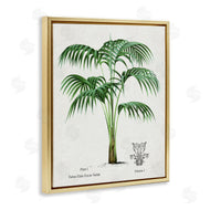 Val Rhodes | Vintage Palm Illustration