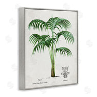 Val Rhodes | Vintage Palm Illustration