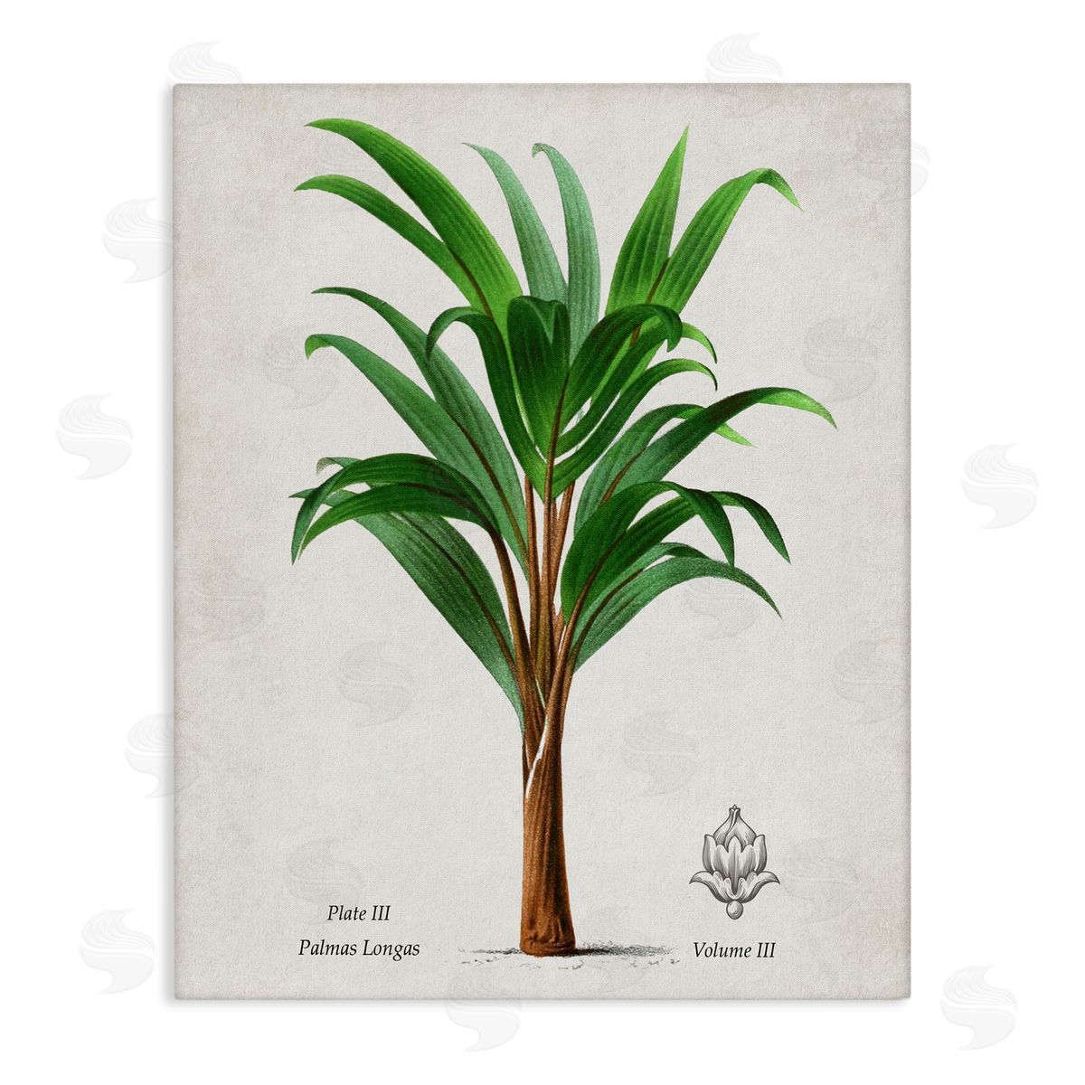 Val Rhodes Vintage Banana Leaf Palm Canvas Wall Art Print