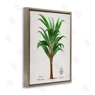 Val Rhodes | Vintage Banana Leaf Palm