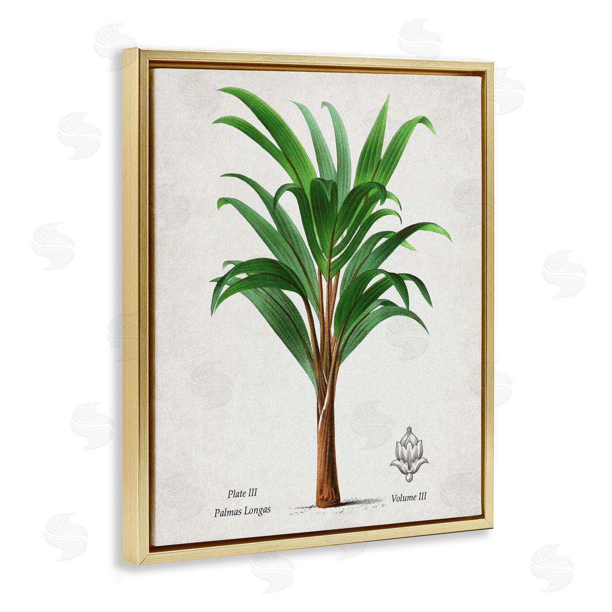 Val Rhodes Vintage Banana Leaf Palm Canvas Wall Art Print