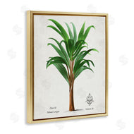 Val Rhodes | Vintage Banana Leaf Palm