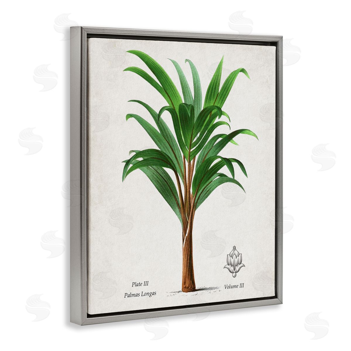 Val Rhodes Vintage Banana Leaf Palm Canvas Wall Art Print