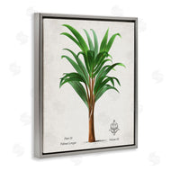Val Rhodes | Vintage Banana Leaf Palm