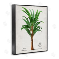 Val Rhodes | Vintage Banana Leaf Palm