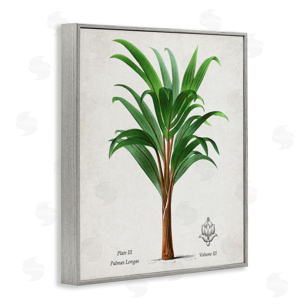 Val Rhodes Vintage Banana Leaf Palm Canvas Wall Art Print
