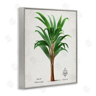 Val Rhodes | Vintage Banana Leaf Palm