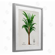 Val Rhodes | Vintage Banana Leaf Palm