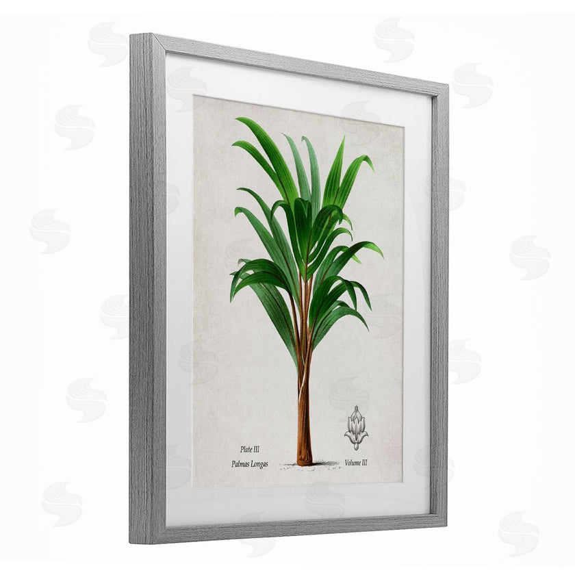 Val Rhodes | Vintage Banana Leaf Palm